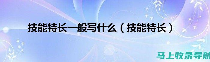 站长必备技能：如何构建高效且用户友好的网站