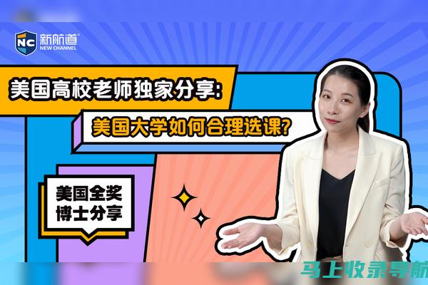 独家分享：成功的抖音SEO优化案例分析与启示